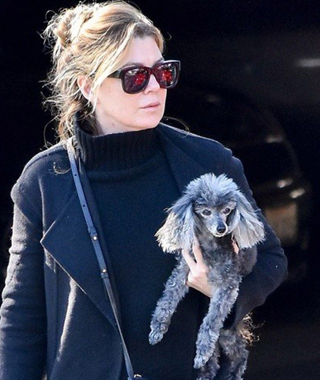 Ellen Pompeo ultrasikkes, a legmenőbb kiegészítője pedig a kutyája!