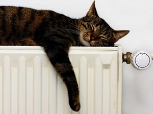 Menstruációs zavarok és a hormonok