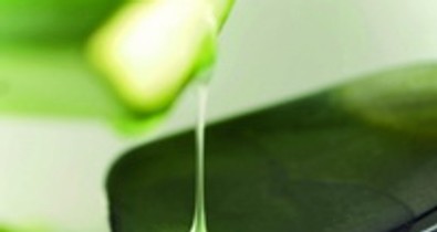 Bizarr: Szépülj csiganyálkával!