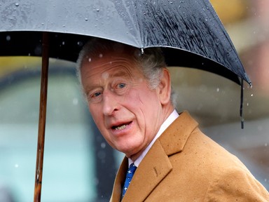 Ő lett idén a királyi család legkeményebben dolgozó tagja - nem, nem Károly király az!