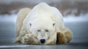 Szeretnél végre JÓL aludni? A kulcs: a melatonin - a dietetikus elmagyarázza, miért!