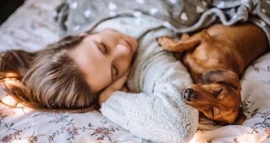 Kiderült, ajánlott-e a kutyával aludni a pszichológusok szerint