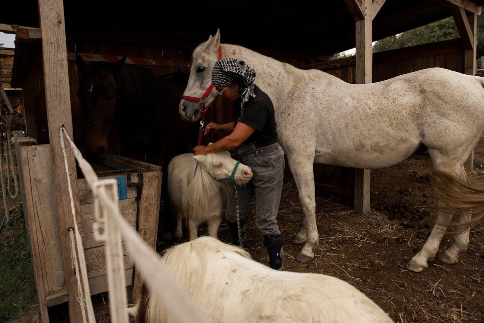A lovasterápia sok fogyatékossággal élő ember életminőségét javíthatja