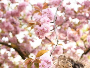 Pokorny Lia színésznő nagykövet lett!