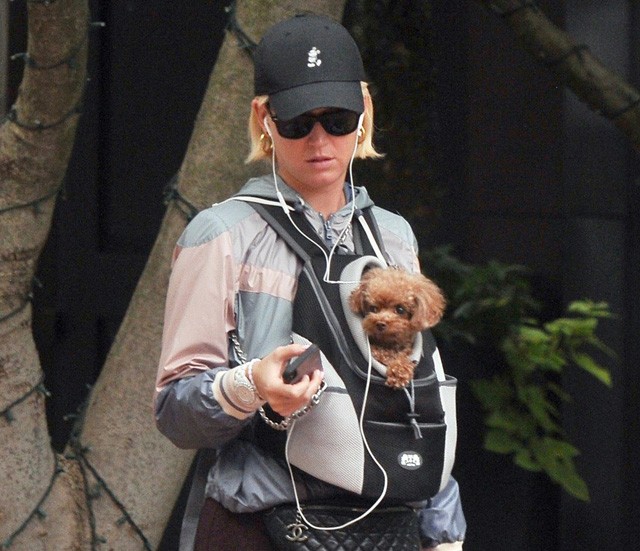 Katy Perry a kölyök uszkárjával