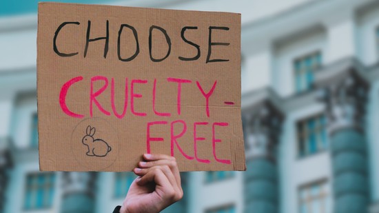 Tanulmány mutatta ki, hogy az emberek nagy részének fogalma sincs az öko címkékről és leírásokról - neked van?