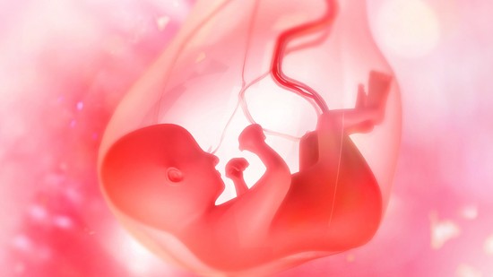 A köldökzsinór a terhesség kilenc hónapja alatt összeköt, de mi a szerepe pontosan?