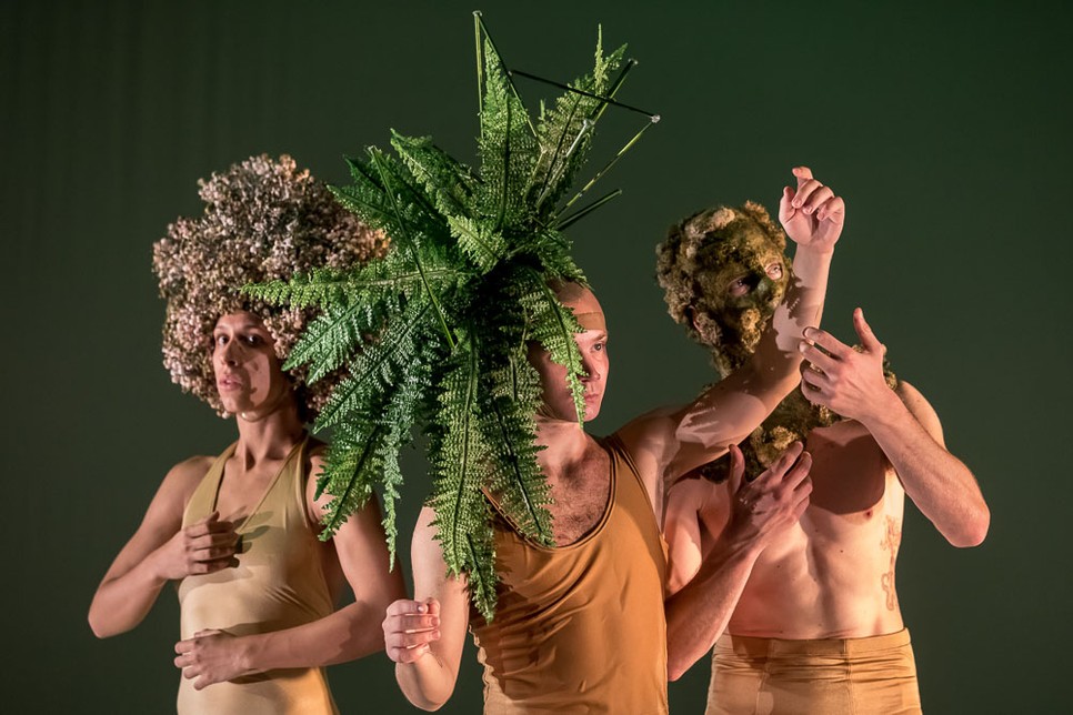 Duda Éva Társulat Wonderland produkciója kihagyhatatlan!