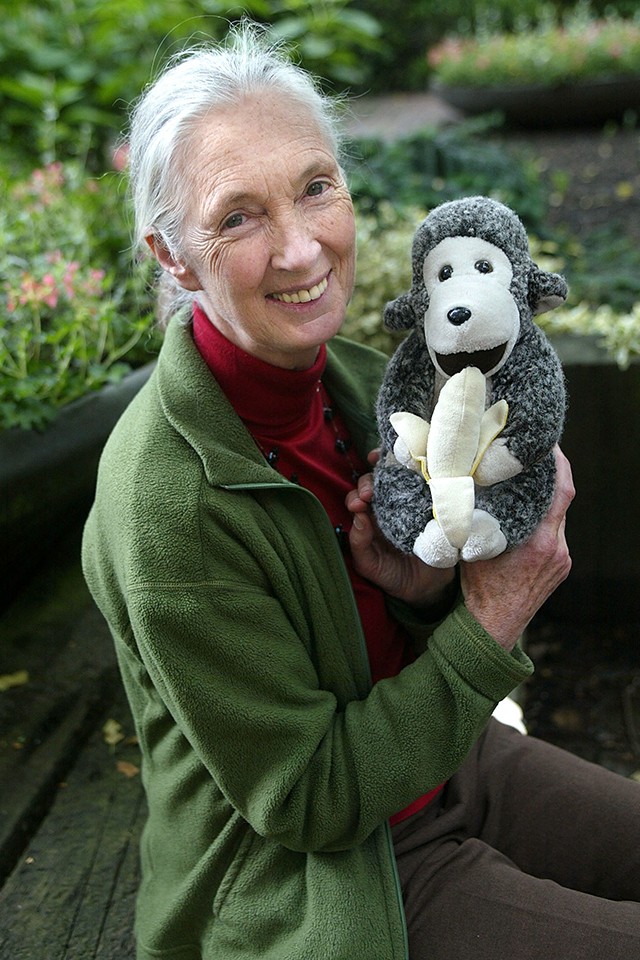 Jane Goodall