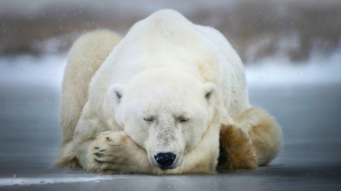 A jó alvás egyik titka, a melatonin - ismerd meg ennek a fontos hormonnak a hatásait