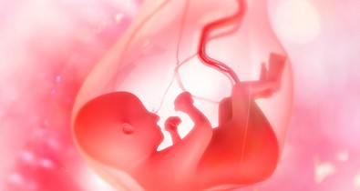 A köldökzsinór a terhesség kilenc hónapja alatt összeköt, de mi a szerepe pontosan?