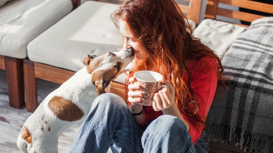 Ha igaznán szerethető kávéra vágysz, kóstold meg a Frei café új kínálatát az Aldi üzleteiből