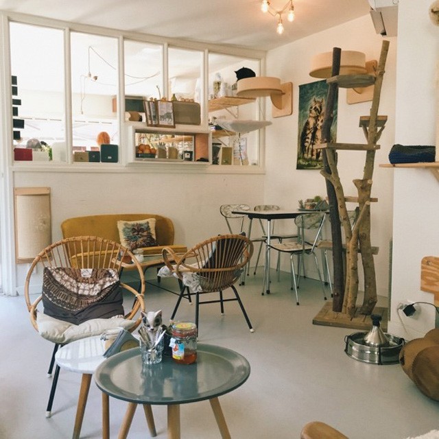 Kihagyhatatlan helyek Amszterdamban - Szigeti Zsófi körbevezet a városban