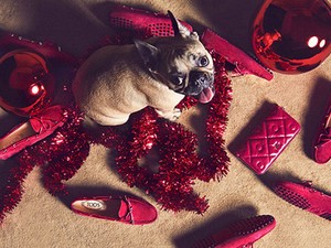 Kész, elolvadtunk: ennél édesebb karácsonyi divatkampány nem lesz