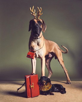 Kész, elolvadtunk: ennél édesebb karácsonyi divatkampány nem lesz