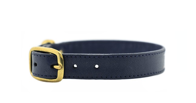 Kutyákra szabja a divatot!