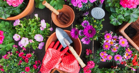 Súlyos hibát vétesz a kertben, ha tavasszal elköveted ezt a 4 dolgot!