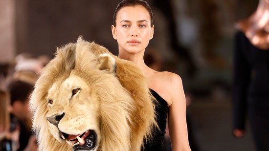 Meditáció, álom vagy egy belső utazás során mindig ugyanaz az állat jelenik meg előtted? Nem véletlen