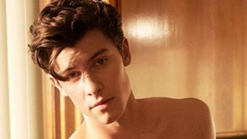 Nem kell megköszönnöd: elhoztuk neked a félpucér Shawn Mendest és lélegzetelállító kockáit