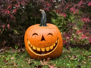 Az ősz gyarmatosítása: hogyan hódította meg a világot a pumpkin spice?