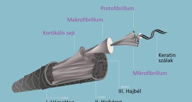 A keratin titkai: Hogyan hozd vissza hajad egészségét és ragyogását!