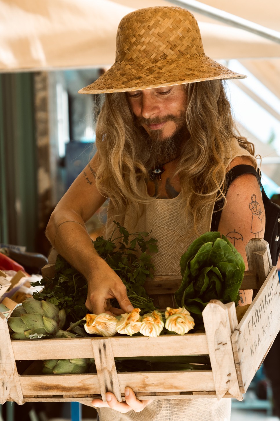 Steiner Kristóf új könyve