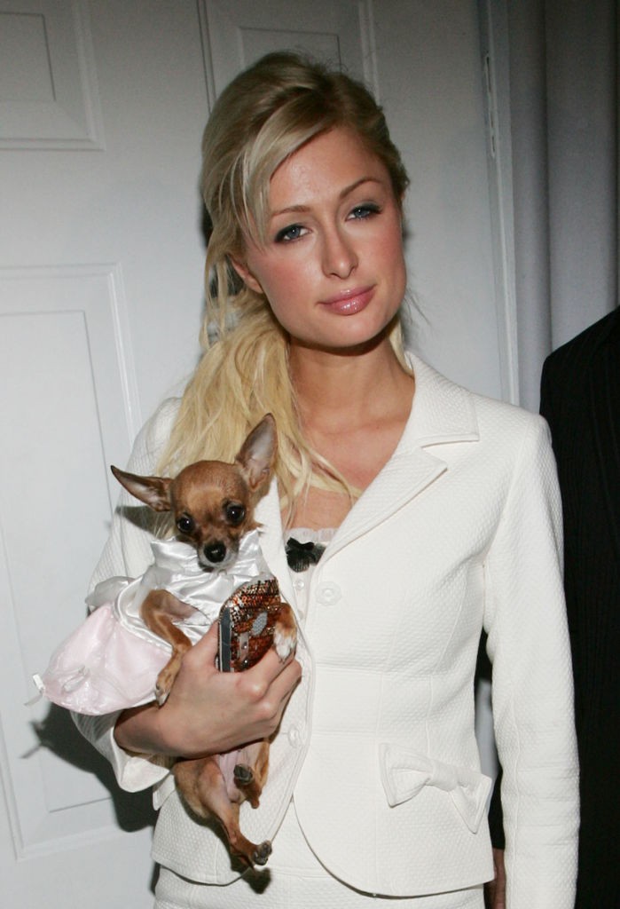 Paris Hilton. és kutyája Tinkerbell, elválasztatatlan páros voltak 2005-ig