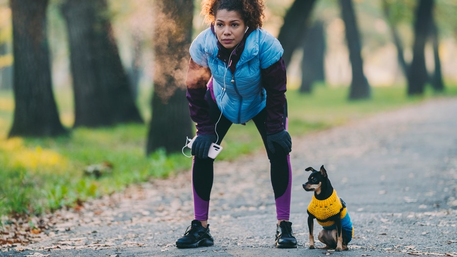 A kutyáddal szeretnél futni? Ezeket kell tudnod a közös sportolás előtt