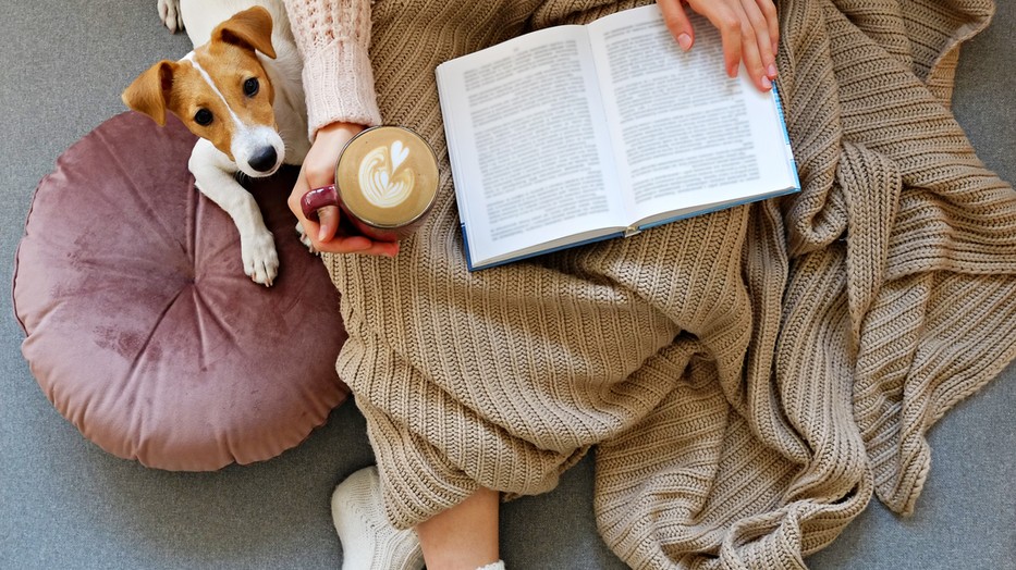 5 skandináv ország, 5 skandináv krimi, amit szerintünk bűn lenne letenni