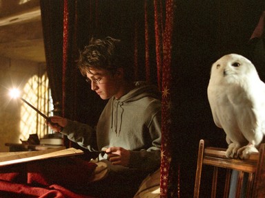 Daniel Radcliffe rangsorolta a Harry Potter-filmeket, ez a rész került az utolsó helyre