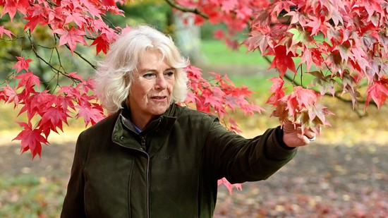 Szomorú hírek érkeztek a palotából Károly király feleségének állapotáról: le kellett mondani Kamilla királyné programjait