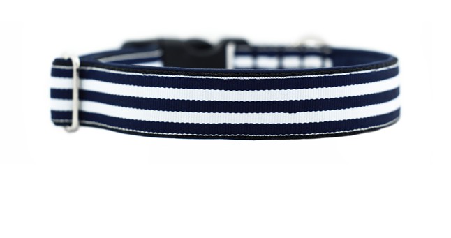 Kutyákra szabja a divatot!