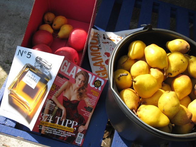 Illés Lívia fotója