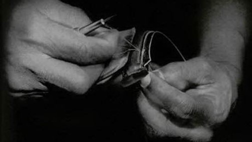 A lónyeregtől Grace Kellyig