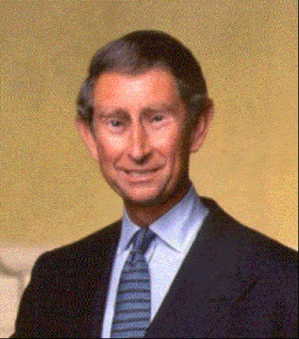 Ez lesz a neve Meghan és Harry babájának: legalábbis Károly herceg szerint