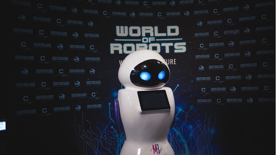 World of Robots