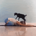 5+1 nyári sport az aktív kikapcsolódás szerelmeseinek