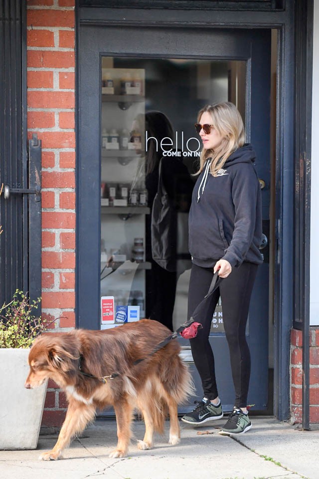 Amanda Seyfried terhes, Finn kutya