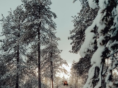 Ilyen az élet Lappföldön