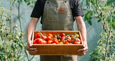 A közösségi kertek titkai: Így hozza össze a városi embereket a természet ereje