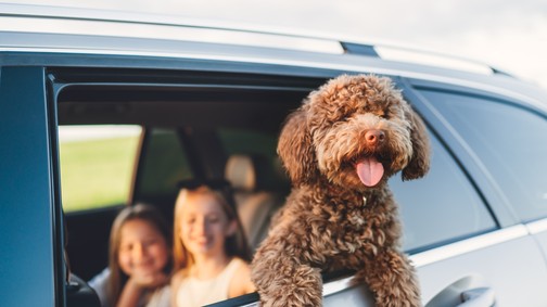 Brutális büntetésekre számíthatsz, ha erre a 3 dologra nem figyelsz, amikor autóval mész külföldre nyaralni