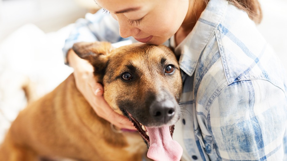 “Nincs annál rosszabb döntés, mint amikor valaki csak küllem alapján választ négylábút maga mellé” - Segítsd a kutyamentést!