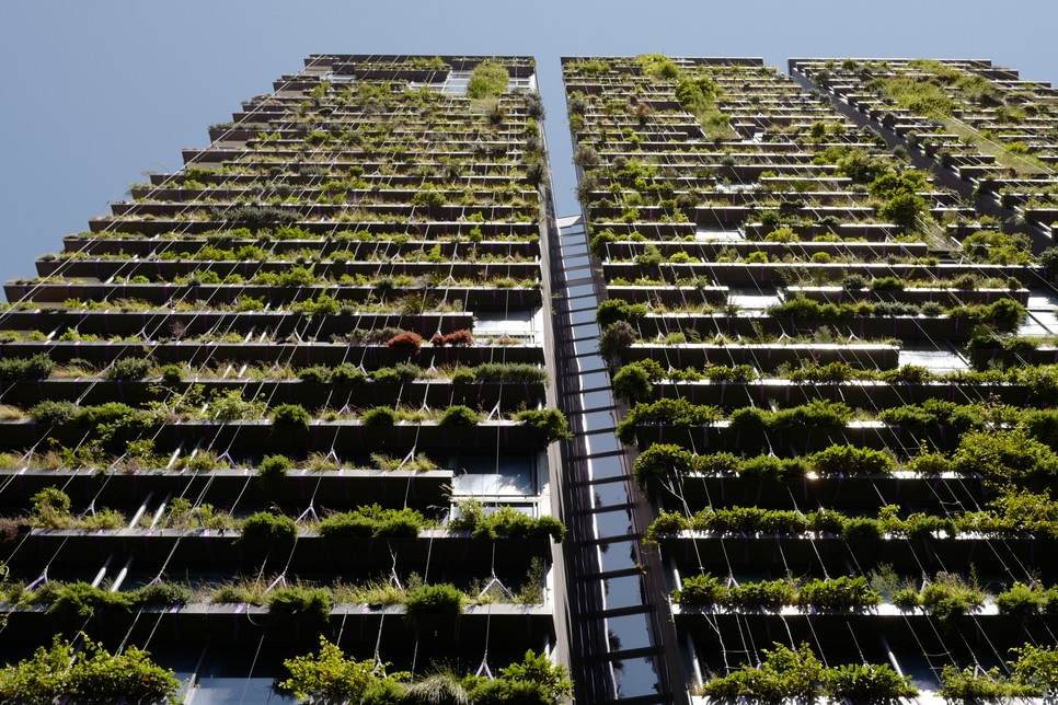 Majd négyszáz fajta, Ausztráliában őshonos növény borítja be a One Central Park falait Sydneyben