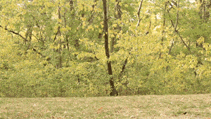 5 apróság a mindennapokra, ami segít az egészség megőrzésében