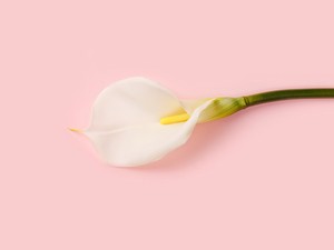 Igen, teljesen oké, ha több orális szexet szeretnél, csak tanuld meg kérni