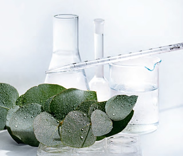 Óriási eredményeket ért el a L´Oréal az éghajlatváltozás elleni küzdelemben