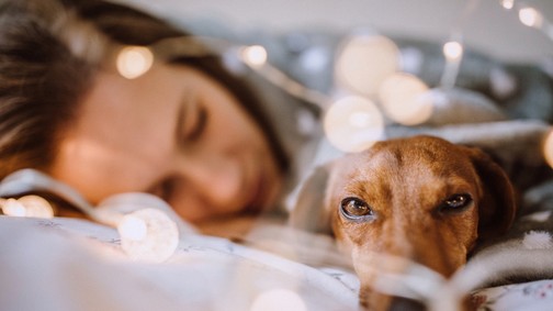 Erre a betegségre hajlamos a Kos, a Nyilas és az Oroszlán