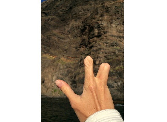 Ha lenne 3 kívánságod, te mit kívánnál?