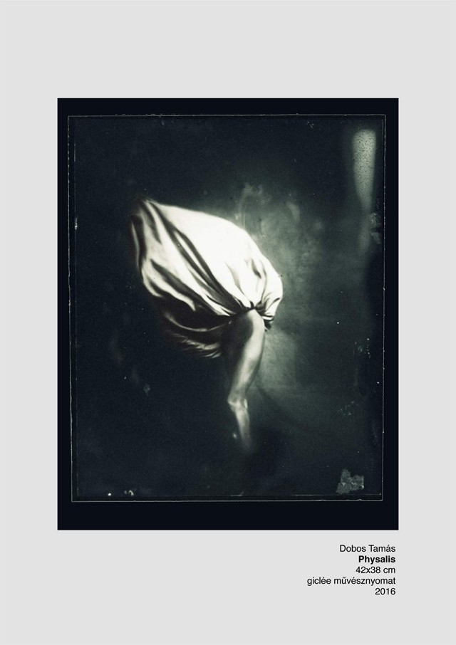 dobos tamás, u, kiállítás, next galéria, divatfotós