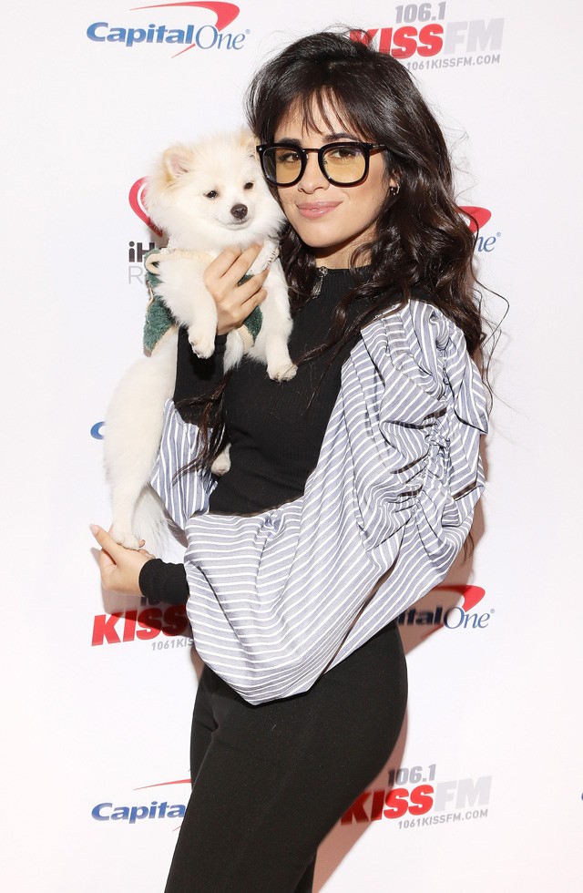 Nem hiszed el milyen cuki társsal érkezett a vörös szőnyegre Camila Cabello